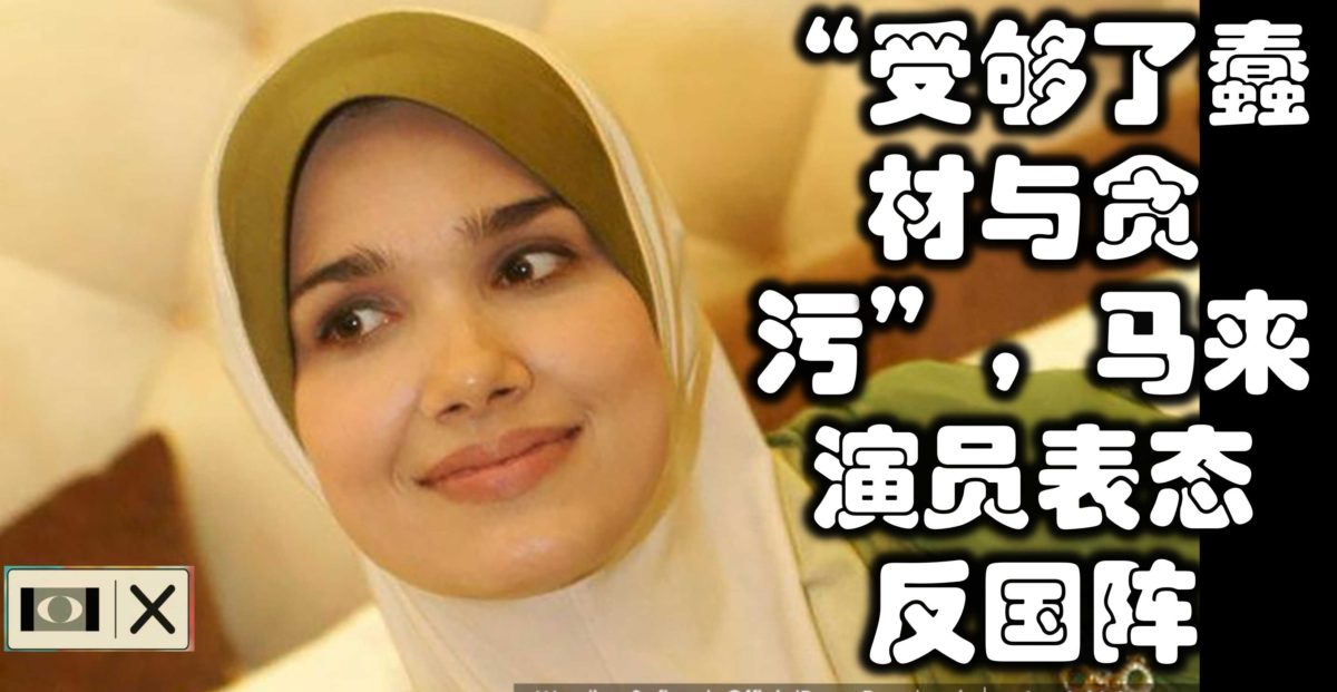 “受够了蠢材与贪污”，马来演员表态反国阵