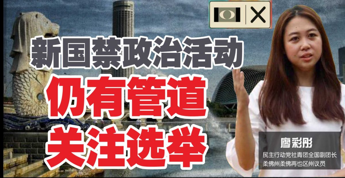 新国禁政治活动 廖彩彤：旅新大马人仍有管道关注选举