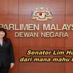 Senator Lim Hui Ying, dari mana mahu ke mana?