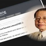 Why DAP will not become a second MCA