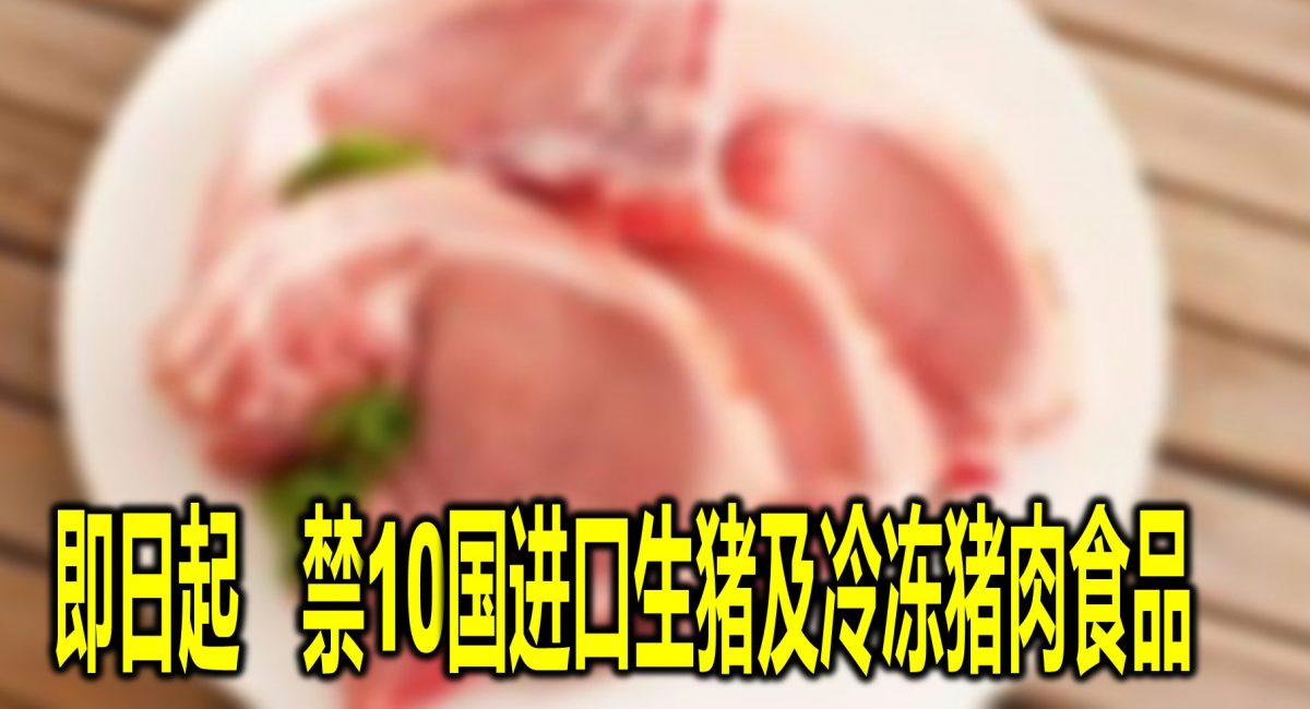 即日起　禁10国进口生猪及冷冻猪肉食品