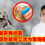 有效控制弃狗问题 俞利文促砂政府立法为宠物植入芯片