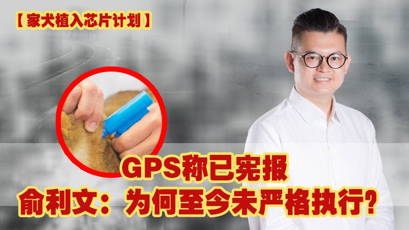 狂犬病肆虐夺16命，GPS称已宪报家犬植入芯片计划。俞利文：为何至今未严格执行？